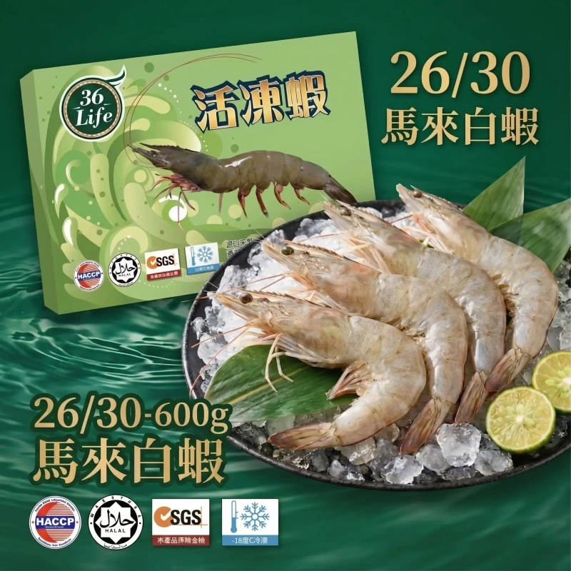 【冷凍商城】26/30 馬來白蝦 600g 