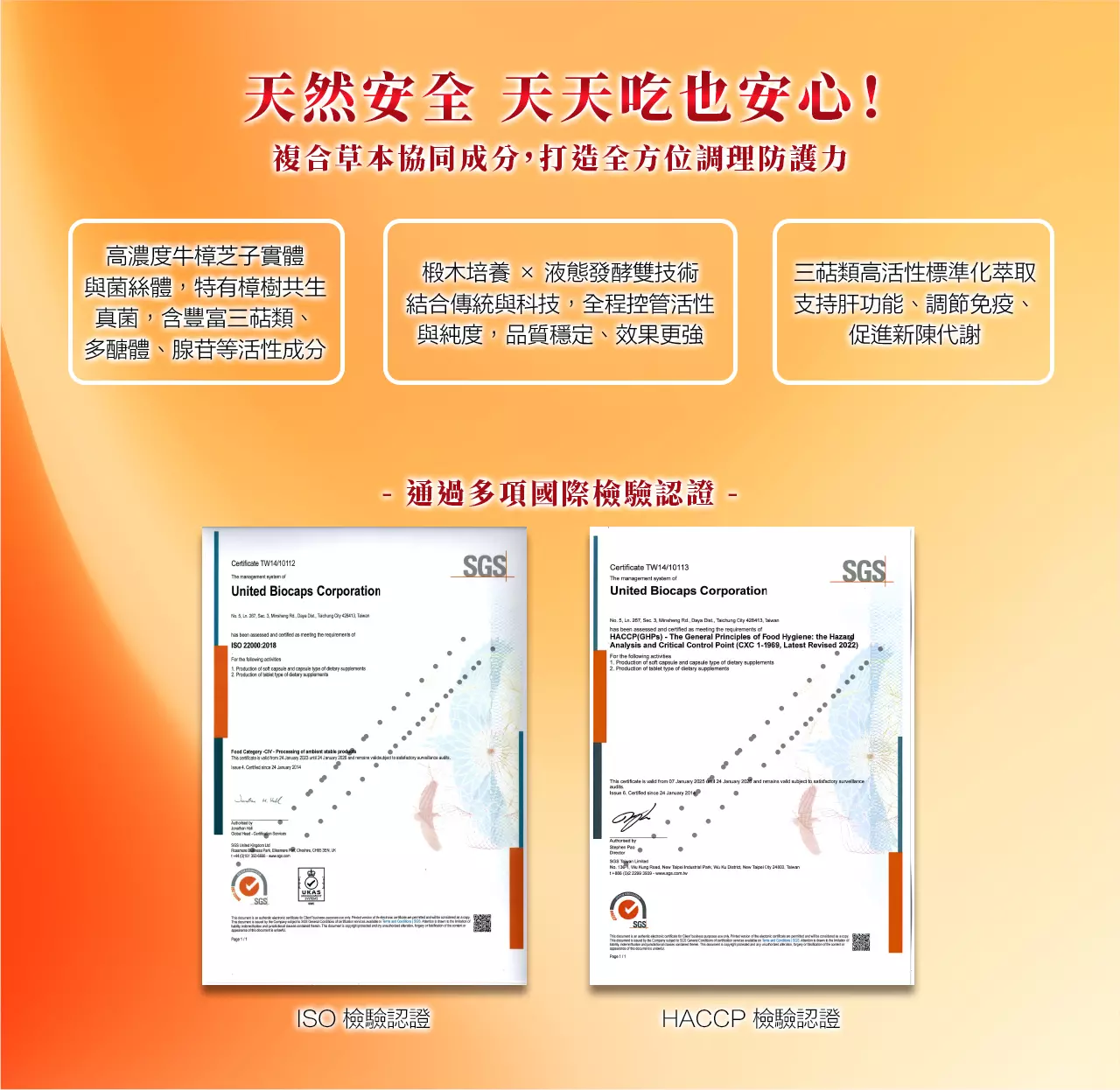 【快樂買保健】休甘牛樟芝