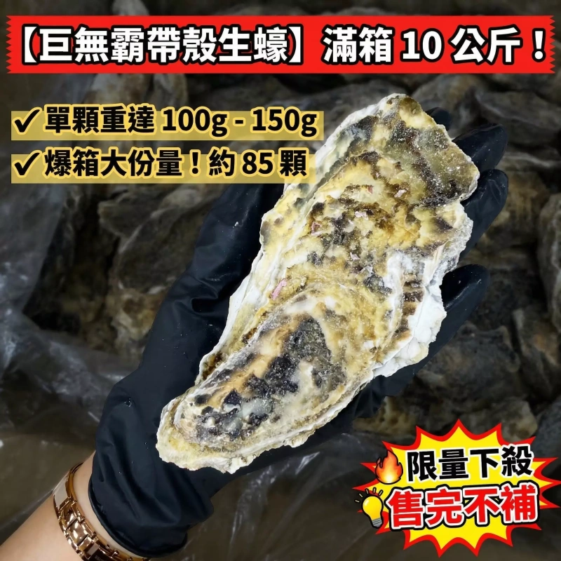 【快樂買冷凍商城】日本生食級生蠔 每顆100-150g以上. 10KG