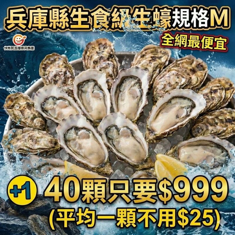 【快樂買官網】40顆日本兵庫縣生蠔M 